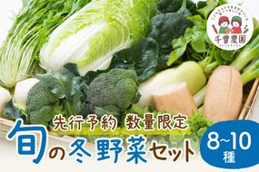 【先行予約／数量限定100】農家直送　旬の冬野菜8～10種セット　SJ00004