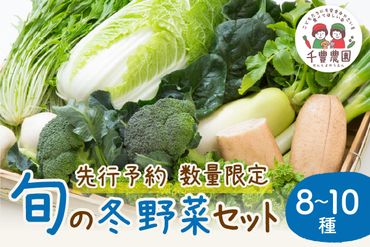 【先行予約／数量限定100】農家直送　旬の冬野菜8～10種セット　SJ00004