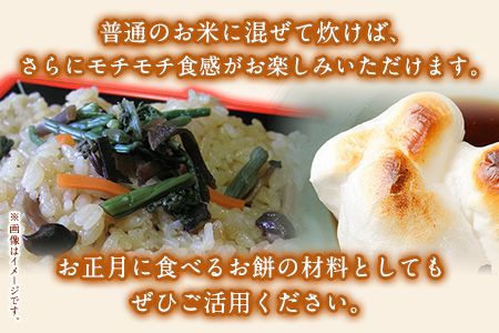 蓮華の花園(もち米) 10kg 精米 JAやつしろカントリー利用組合 熊本県 氷川町《30日以内に出荷予定(土日祝除く)》---hkw_jac_2_10kg---