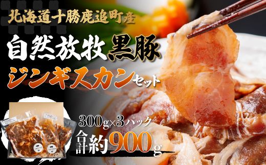 ykCǒzǎY Rq؃WMXJZbg SKN002