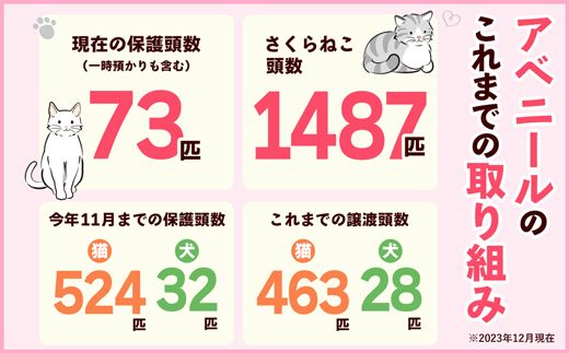 【南の島の動物愛護活動】保護猫活動等をサポート（1万円）- ねこ ネコ 地域猫 保護活動 支援 応援 さくらねこ 動物愛護 保護 里親 寄附のみ 沖縄県 八重瀬町