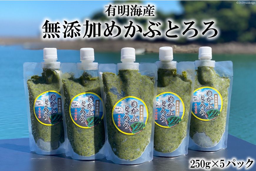 AE140有明海産 無添加めかぶとろろ(250g×5パック)