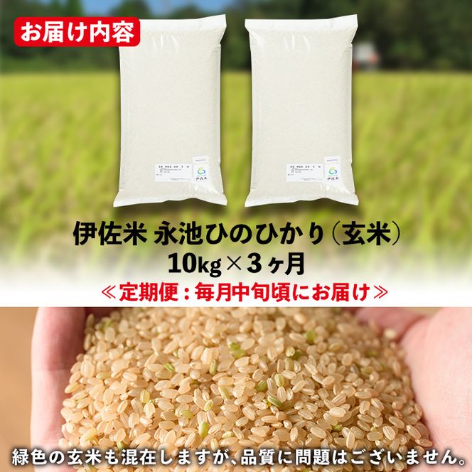 isa538 【定期便】令和6年産 特別栽培米 永池ひのひかり玄米(計30kg・10kg×3ヶ月)【エコファーム永池】