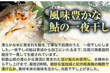 「旨いはずです。」特選あゆ一夜干しセット(13枚入) 日高川漁業協同組合《90日以内に出荷予定(土日祝除く)》 和歌山県 日高川町 あゆ 鮎 魚 一夜干し---wshg_fhgtayuh_90d_22_14000_13p---
