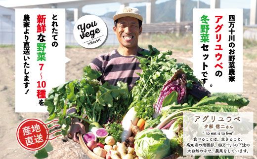 【 2回定期便 早期受付 数量限定 】 とれたて 新鮮 農家直送 アグリユウベの冬野菜セット (小) 国産 野菜セット 野菜便 やさい 野菜 冬野菜 産地直送 国産 高知県 四万十市 四万十 しまんと 定期便 【配送月：2026年1月・2月】25-398