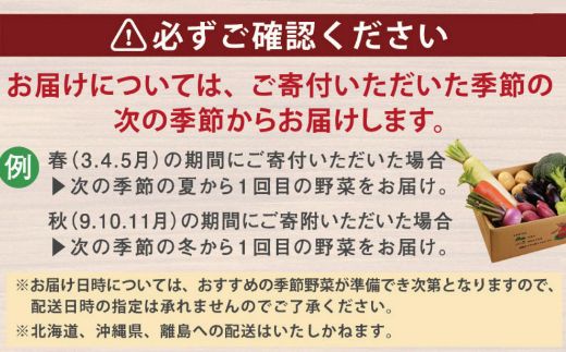 定期便 年4回 野菜 旬 1回あたり10品 セット 詰め合わせ 春夏 定期便 年4回 野菜 旬 1回あたり10品 セット 詰め合わせ 春夏