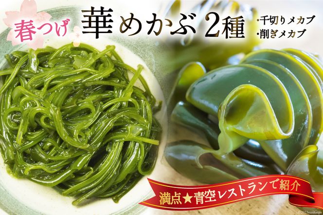 ＼満点★青空レストランで紹介／ 春つげ華めかぶ セット （千切りメカブ・削ぎメカブ) [第38漁徳丸 宮城県 気仙沼市 20565075] 海藻 メカブ めかぶ 魚介類 芽株 三陸めかぶ 食べ比べ 冷蔵