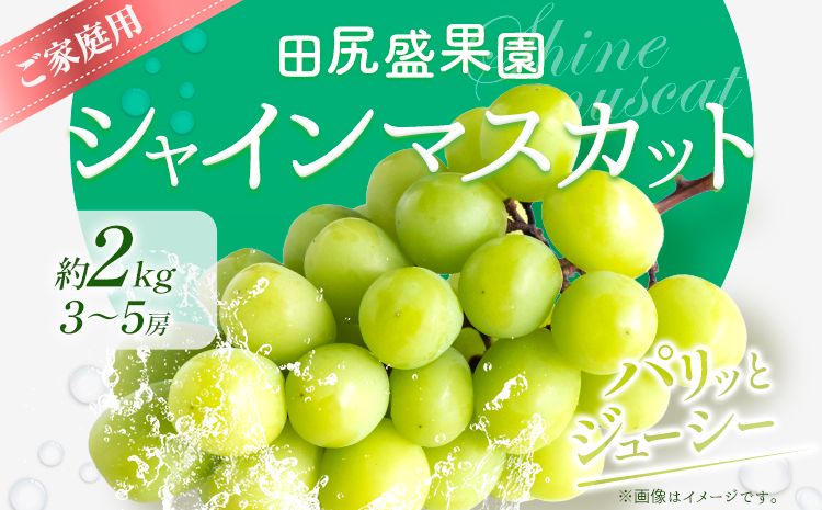 先行予約 ご家庭用 シャインマスカット2kg(3〜5房)[2026年8月下旬-9月末頃出荷]田尻盛果園 フルーツ 果物 マスカット ぶどう---osy_ctajihsm_h8_24_13500_12---
