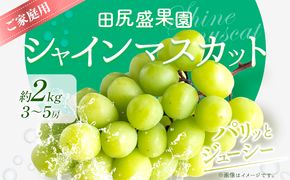 先行予約 ご家庭用 シャインマスカット2kg(3～5房)《2026年8月下旬-9月末頃出荷》田尻盛果園 フルーツ 果物 マスカット ぶどう---osy_ctajihsm_h8_24_13500_12---