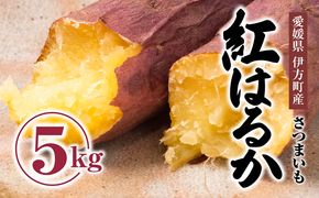 【先行受付】しっとりして甘い　紅はるか5kg ｜ さつまいも サツマイモ 焼き芋 やきいも 産地直送 スイート　※2024年9月中旬～2025年5月上旬頃まで順次発送予定