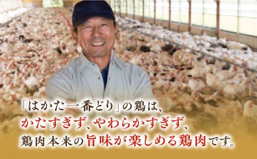 福岡県産銘柄鶏「はかた一番どり」博多水炊きと鶏しゃぶの2大鍋セット 《築上町》【株式会社ゼロプラス】[ABDD038]