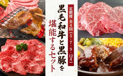 yszyS4zјaƍ؂\Zbg@K098-T05