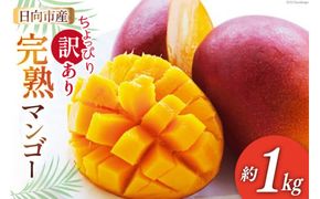 【2026年夏発送】 訳あり 宮崎 完熟 マンゴー 約 1kg [宮崎県農業協同組合日向地区本部（販売課） 宮崎県 日向市 452060659] 果物 フルーツ 規格外 家庭用 完熟マンゴー 甘い 日向 期間限定 冷蔵