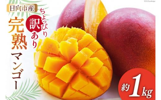 マンゴー 訳あり 【2024年夏発送】 宮崎 マンゴー 訳あり 約 1kg [日向農業協同組合 宮崎県 日向市 452060391] 規格外 日向 完熟マンゴー 完熟 果物 フルーツ 家庭用 先行予約