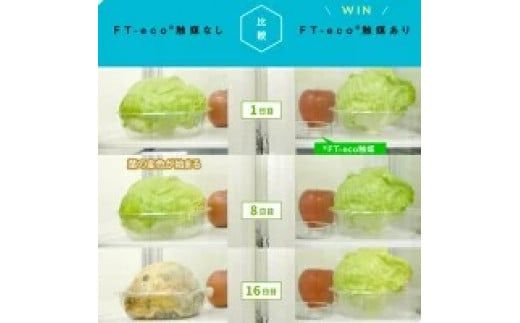 プラチナ触媒を利用した野菜・果物の鮮度維持グッズ『FT-eco Ball（エフテコボール）』1個｜茨城県土浦発！FT-eco®触媒（エフテコ触媒）を活用した、野菜・果物の鮮度を守るアイテム。野菜・果物の鮮度維持、防臭効果が期待。取換期間も1年間と長持ち ※離島への配送不可