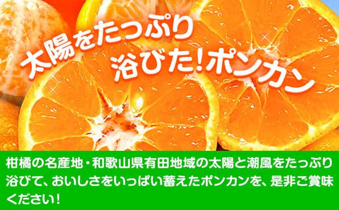 【先行予約】紀州和歌山有田産ポンカン5kg 株式会社魚鶴商店《2026年2月上旬～3月中旬頃出荷予定》和歌山県 日高町 ぽんかん フルーツ 柑橘---wsh_uot97_2j3c_25_16000_5kg---