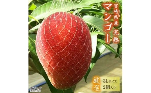 [宮崎県産 完熟マンゴー (3Lサイズ×2個)]2025年4月上旬〜9月上旬迄に順次出荷[c594_my_x5]