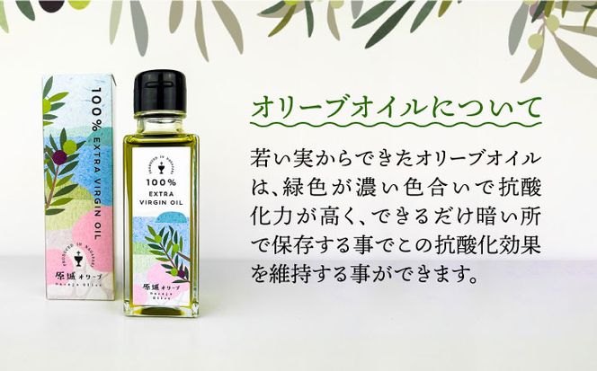 【3回定期便】 原城 オリーブ エクストラ・ヴァージンオイル 100ml 3本 / オリーブオイル オイル 油 調味料 / 南島原市 / ミナサポ [SCW057]