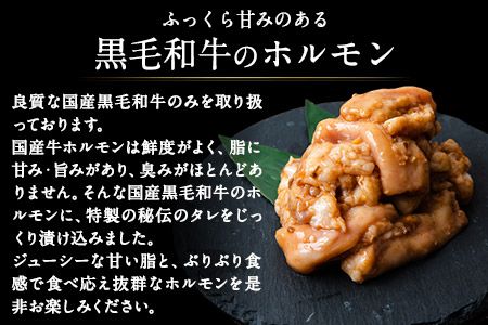 黒毛和牛漬け込みホルモン・ハンバーグセット（計7袋） 絶品 ブランド牛 黒毛和種 有限会社トップルーフ《60日以内に出荷予定(土日祝除く)》---so_ftopkhrhm_60d_21_27000_1150g---
