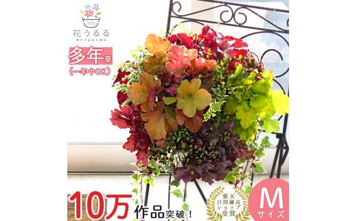 yRRszC052 huq[P̉ԂnMO񂹐AvlTCY