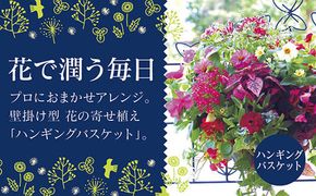 C053【ふるさと納税】花うるる おまかせハンギング 寄せ植え Ｍサイズ(完成品 鉢 鉢植え 壁掛け ハンギングバスケット 通販 プレゼント おしゃれ 珍しい 苗 玄関 屋外 フラワーギフト 誕生日 花苗 ギャザリング 冬 プランター ハンキング 花飾り 園芸 アレンジメント 春