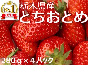 【1月発送】【先行予約】【数量限定】とちおとめ　280g × 4パック｜いちご イチゴ 苺