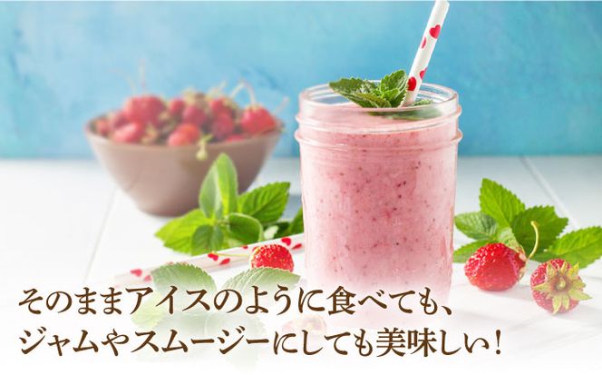 【全12回定期便】【訳あり】博多和牛 サーロインステーキ ＆ あまおう セット1.3kg《築上町》【株式会社MEAT PLUS】[ABBP105]