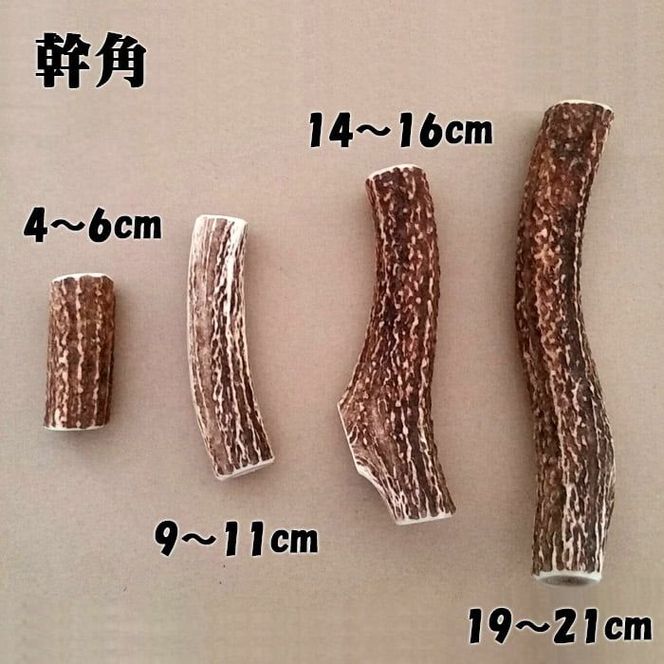 えぞ鹿カット角【約10cm×3本】※トリーツ