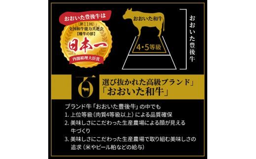 【A4～A5等級】希少部位をお試し! おおいた和牛 ミスジ ステーキ 100g×2枚 （合計200g）_2437R