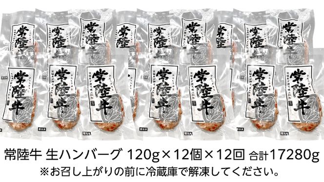 【茨城県共通返礼品】【12ヶ月定期便】 黒毛和牛 常陸牛 100% 特製 プレミアム 生ハンバーグ 120g×12個入り 合計1,440g 八千代町産 白菜 使用 無添加 無着色 保存料不使用 冷凍 牛 牛肉 ビーフ 生 ハンバーグ こだわり [AU059ya]