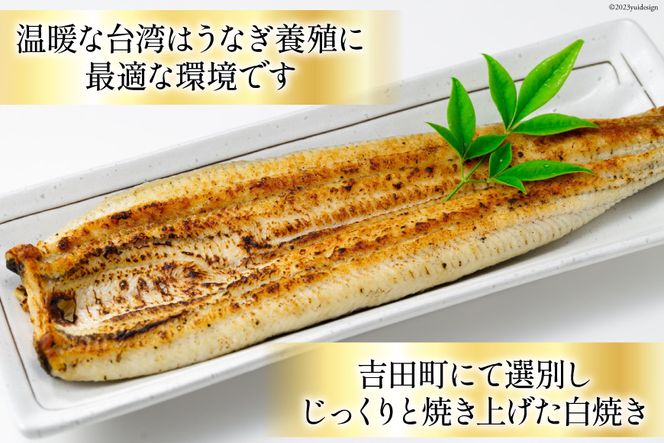 うなぎ 台湾産 うなぎ白焼 150g×2尾 タレ 山椒 セット [むらた うなぎ 台湾産 うなぎ白焼 150g×2尾 タレ 山椒 セット [むらた