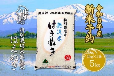 新米受付　令和6年産米　特別栽培米はえぬき無洗米　5kg