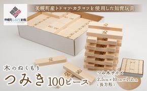 木のぬくもり「つみ木・100ピース」 BHRG094