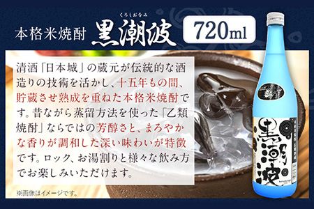 本格米焼酎 黒潮波 （くろしおなみ） 720ml×2本 厳選館《90日以内に出荷予定(土日祝除く)》 和歌山県 日高川町 酒 本格米焼酎 焼酎 米焼酎---wshg_genkn_90d_22_13000_2p---