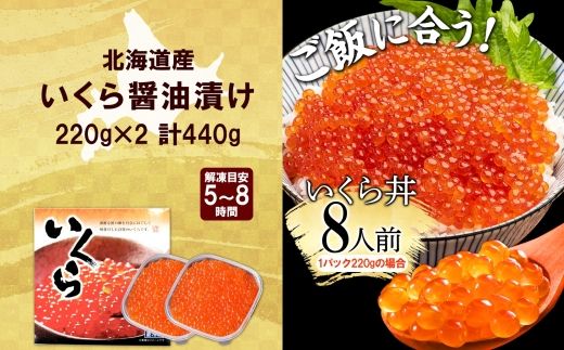 【年内配送 12月20日まで受付】3318. いくら醤油漬け 220g×2個 いくら醤油 イクラ しょうゆ漬け いくら イクラ 醤油 海鮮 魚介 いくら丼 鮭 魚卵 贈答 ギフト 送料無料 北海道 弟子屈町