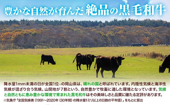 牛肉 黒毛和牛 切り落とし 500g ～ 3kg 《30日以内に出荷予定(土日祝除く)》 岡山県 矢掛町 牛 牛肉 和牛 牛丼 カレー 小分け 小分けパック 250g 送料無料---ofn_fokw_30d_24_9000_5---