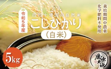 R5-849．【令和5年産】四万十清流の自然米　白米5㎏(コシヒカリ)