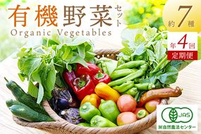 【年4回定期便】＜てんとうむしばたけ＞オーガニック野菜セット　有機野菜7種前後(2人用)　BR00024