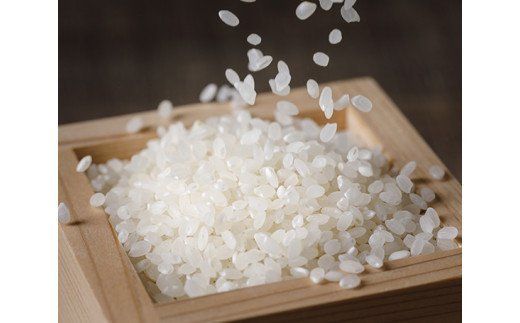のと米 こしひかり 精米 20kg [はくい農業協同組合 石川県 宝達志水町 38600499] 米 お米 ごはん コシヒカリ 美味しい