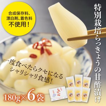 0058 特別栽培らっきょうの甘酢漬(6袋セット)