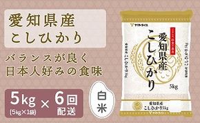 愛知県産コシヒカリ 5㎏ ※定期便6回 安心安全なヤマトライス H074-611