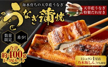 【ミシュラン1星店でも使用】海水育ちの天草藍うなぎ 蒲焼き 2～3尾セット【合計約400g】鰻 ウナギ 数量限定!!