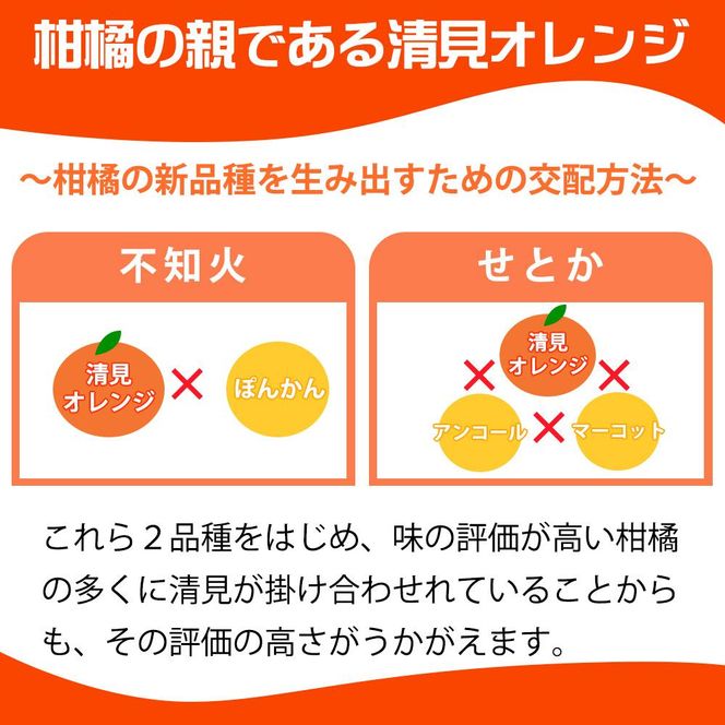 【ご家庭用訳アリ】紀州有田産清見オレンジ　7.5kg【2025年3月下旬以降発送】【先行予約】【UT54】 XF041
