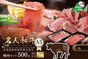 黒毛和牛 500g 焼肉用（カルビ・モモセット 250g×各1P）【TB0000007】