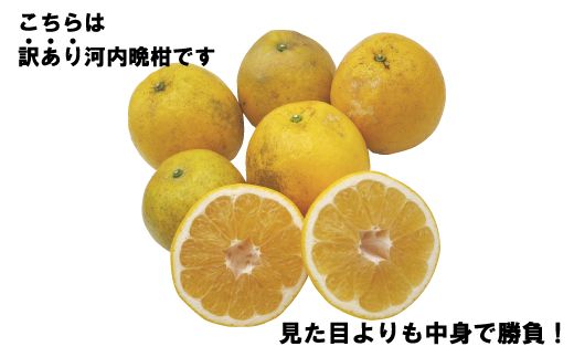 訳あり 河内晩柑10kg（家庭用） | 柑橘　希少　愛媛県愛南町産　フルーツ　デザート　果物　※2024年4月上旬～8月中旬頃に順次発送予定