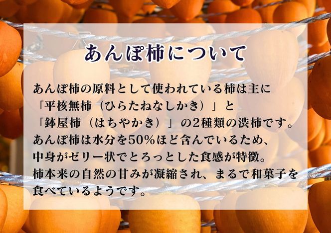 【2回定期便】【季節限定】柿の食べ比べ 生柿 りんご あんぽ柿セット ※沖縄・離島への配送不可 ※2025年12月上旬～2026年2月下旬頃に順次発送予定