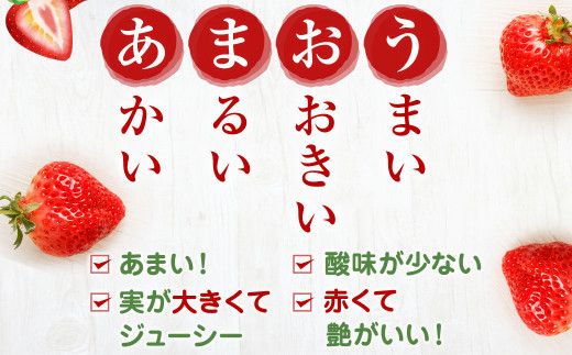 大粒セレクト！大人気のあまおう　福岡県産いちご　280g×2パック【2025年1月中旬～2月中旬発送】_HA0276