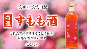 【 特選 】 すもも酒 アルコール 15％ （ 500ml × 1本 ） 果実酒 お酒 酒 すもも 桃 [DP008ci]