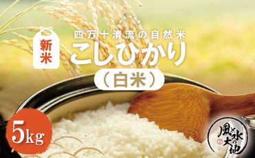 R6-849．【令和6年産新米】四万十清流の自然米　白米5kg（コシヒカリ）