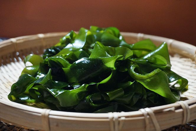 【2つの食感】3回 定期便 三陸産 サラダわかめ 170g ×3回 総計 510g [小野徳 宮城県 気仙沼市 20565588] 海藻 ワカメ わかめ 若布 塩蔵わかめ 塩蔵 コリコリ シャキシャキ 冷蔵